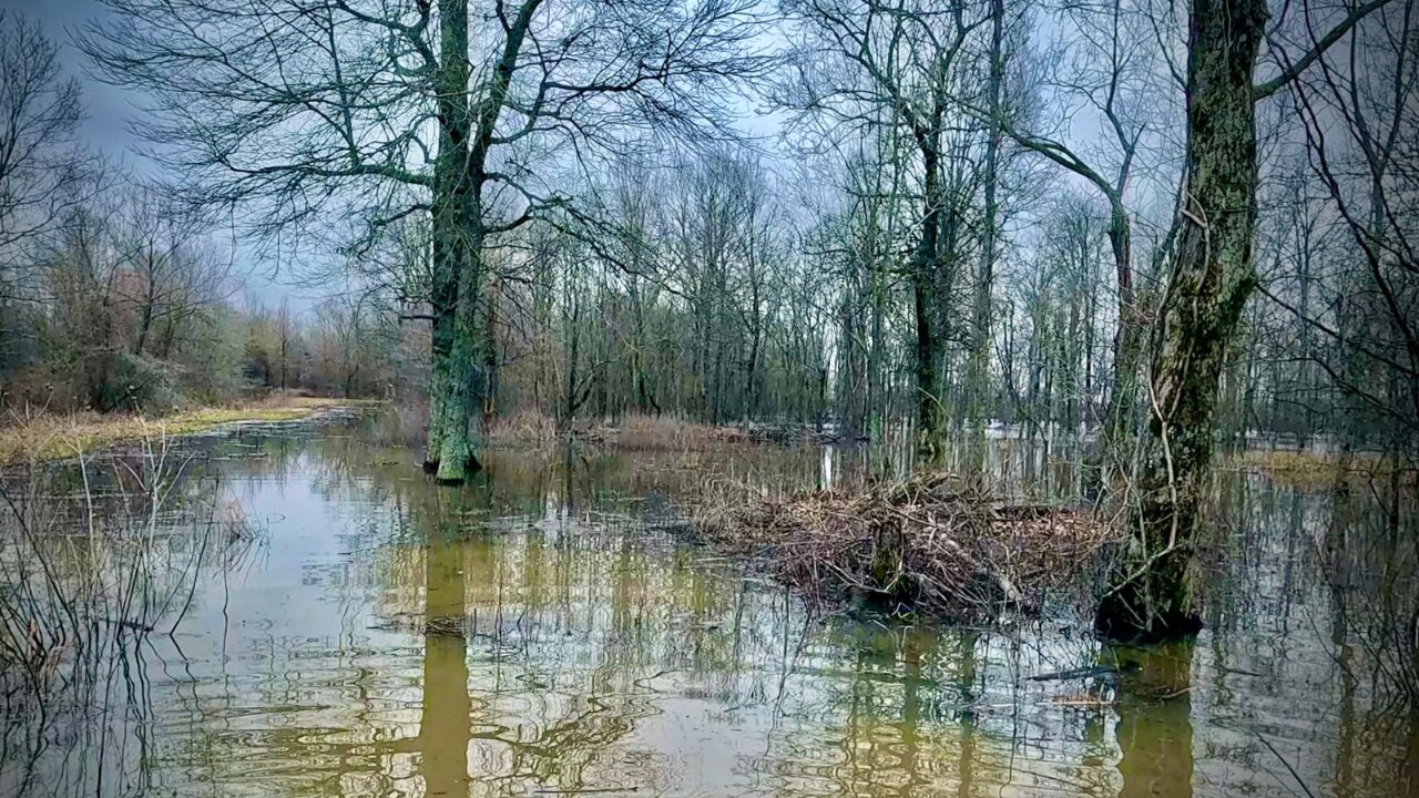 On The Line With MadTrapper, Chapter 104