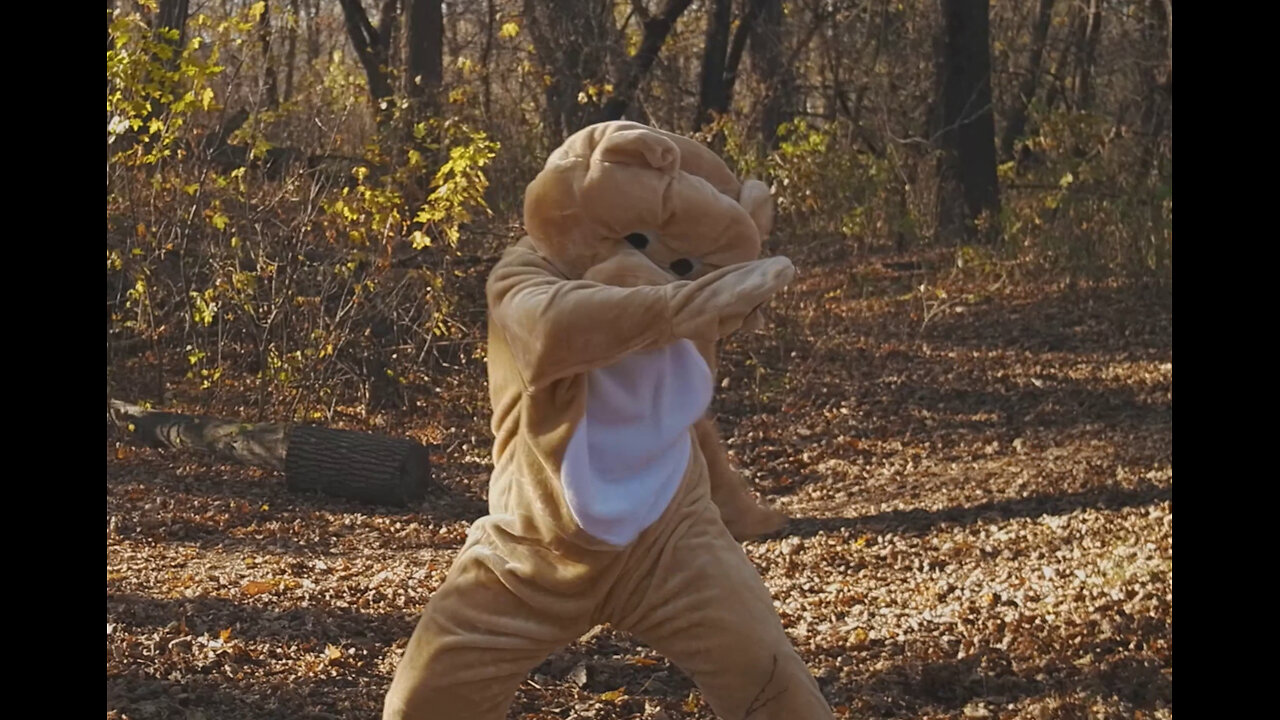 Funny Bear vs. Hiker Encounter