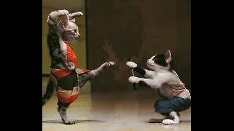 When Your Cat Thinks It’s a Ninja!”😂