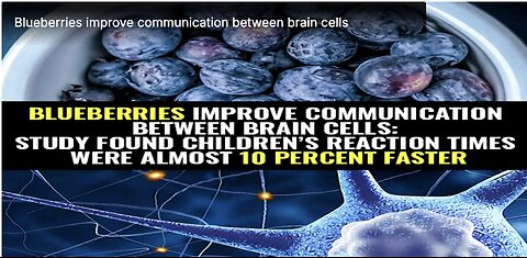 Blueberries improve communication between brain cells