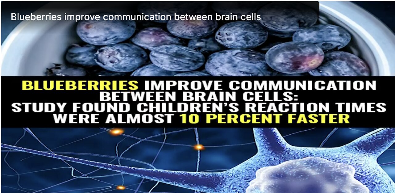 Blueberries improve communication between brain cells