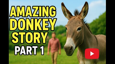 Amazing donkey video 😍😍😍