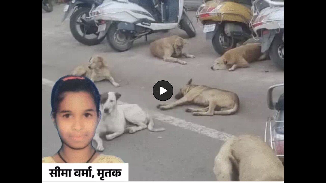 Madhya Pradesh: 15 year old girl died of rabies despite vaccination