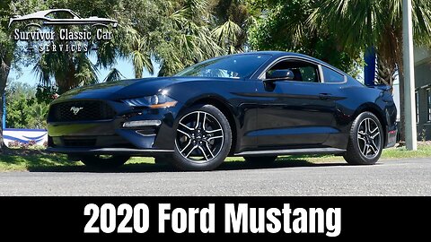🔥 2020 Ford Mustang EcoBoost – Black on Black | 310HP Turbo Coupe | For Sale in Tampa