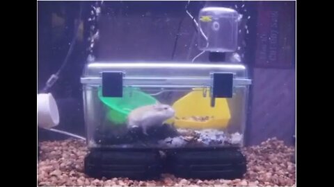 fucking hell i hate mage and leveling-ups part 16