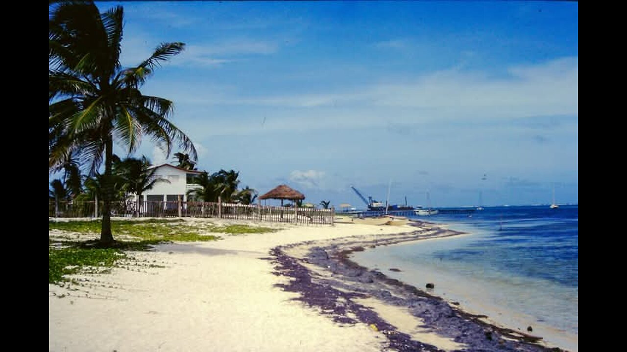 Diana's secret beach, Ambergris Caye, October 1993