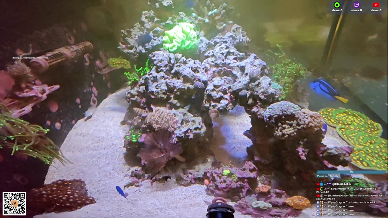 24/7 Real Live Reef Stream
