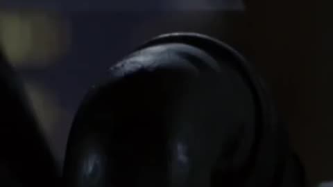 Happy November 5th (Anonymous)