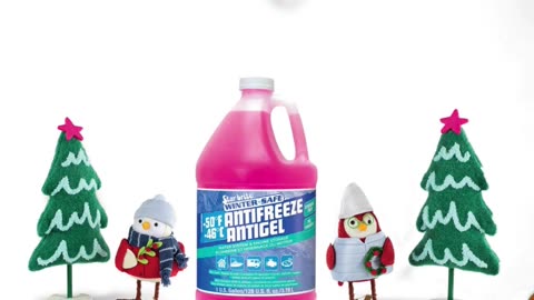 ❄️ Day 1 of 5 Days of Christmas! ❄️