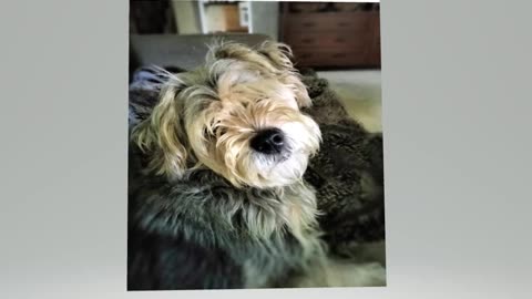 Almost trim time !!!