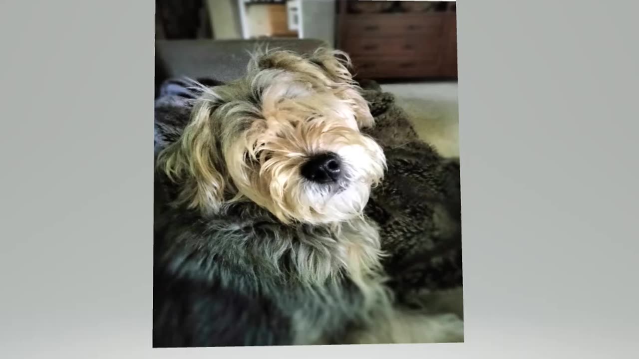 Almost trim time !!!