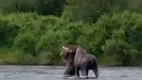 Bring The Giant Down