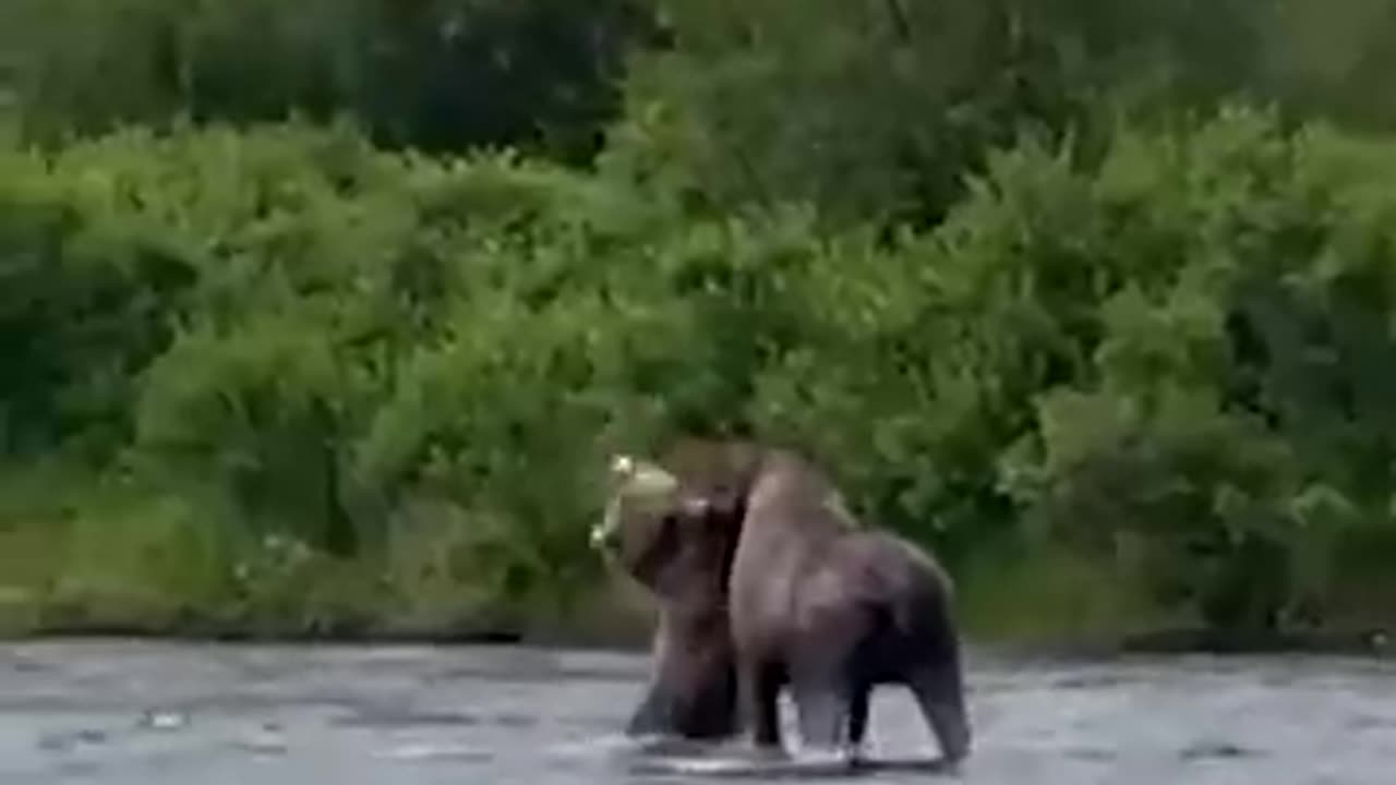 Bring The Giant Down