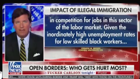 Tucker Carlson Interviews Peter Kirsnow on Illegal Immigration