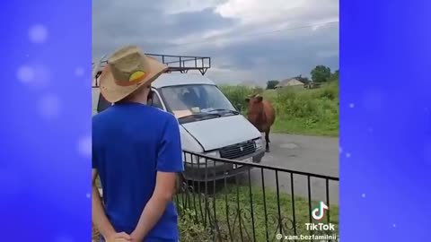 🤣 Funniest Laugh Challenge | Impossible Not To Laugh 2025