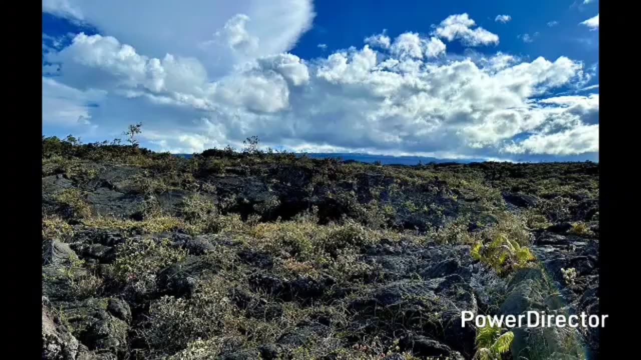 upper waiakea forest reserve