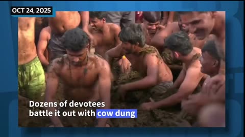 Diwali Ends with Cow Dung Chaos in India