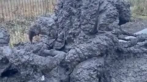 🇷🇺🌳 Russia Ukraine War | Natural Camouflage in Action | RCF