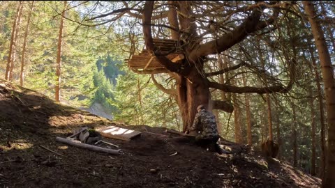 Treehouse Shelter for surviving a freezing Winter