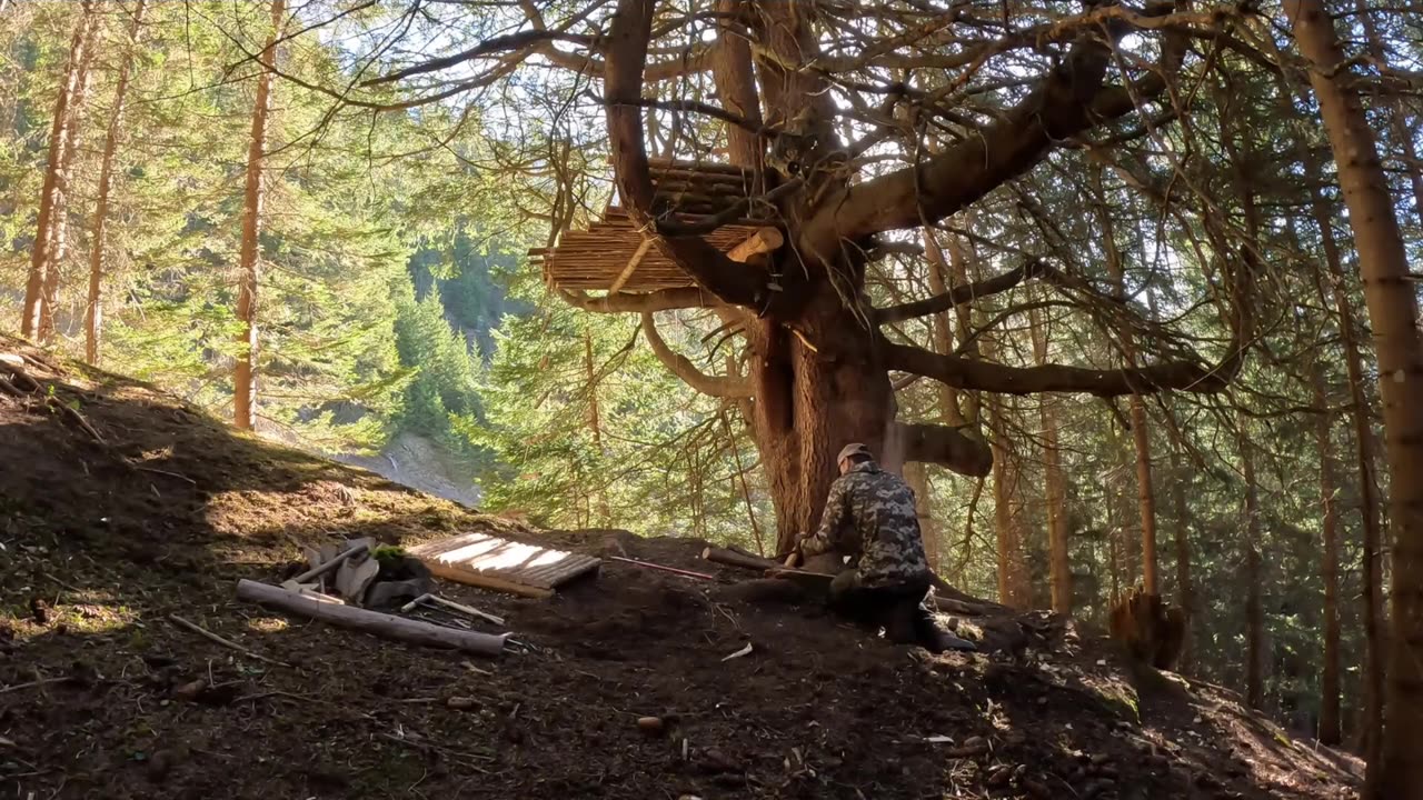 Treehouse Shelter for surviving a freezing Winter