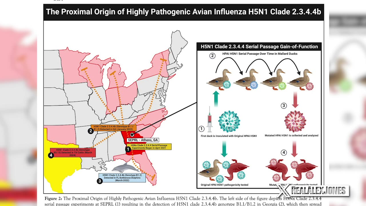 Deep State & Big Pharma launch psychological warfare to let Biden declare new pandemic to stop Trump