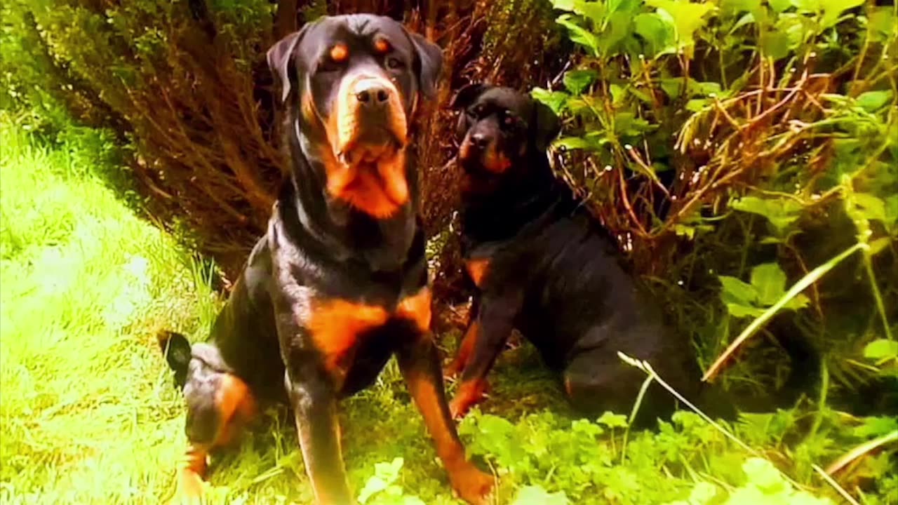Cole & Toby
