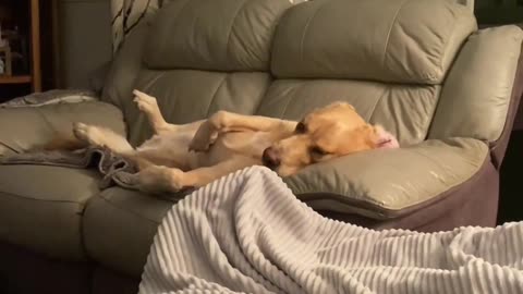 When the £100 Bed Just Doesn't Cut It