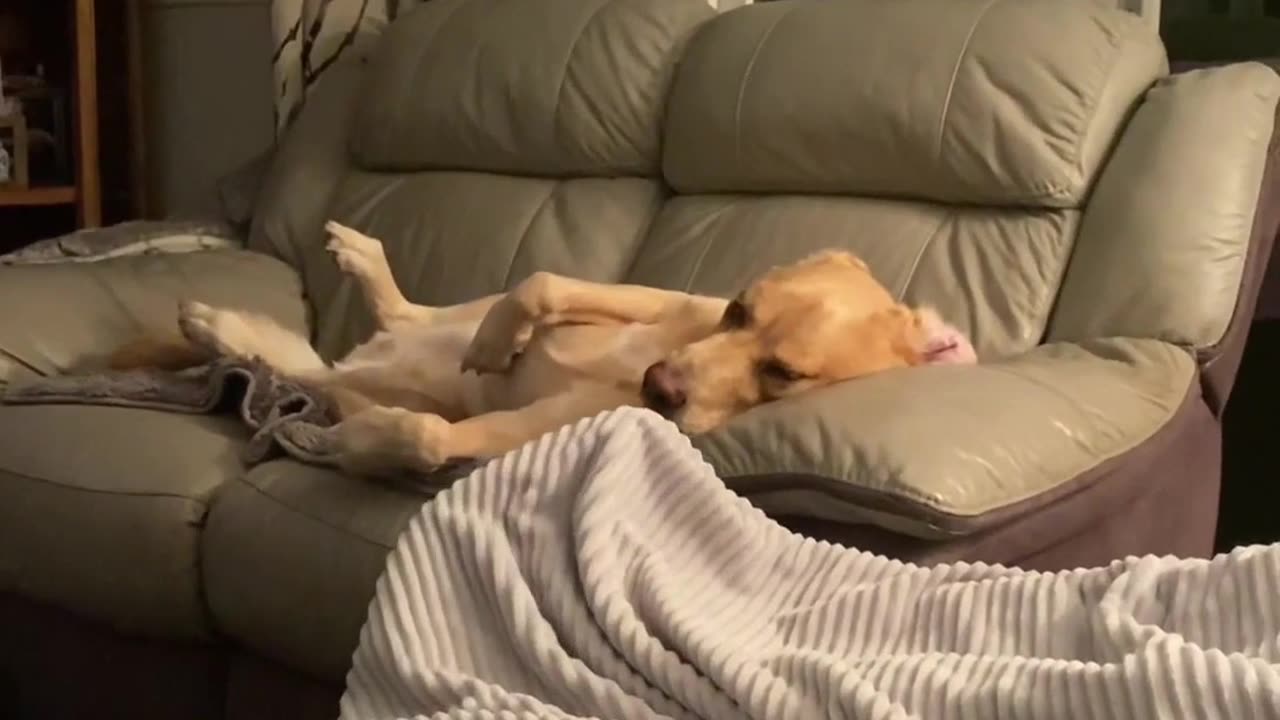 When the £100 Bed Just Doesn't Cut It