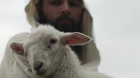 Apakah Kamu Benar-Benar Domba Kristus? (Menurut Yohanes 10)