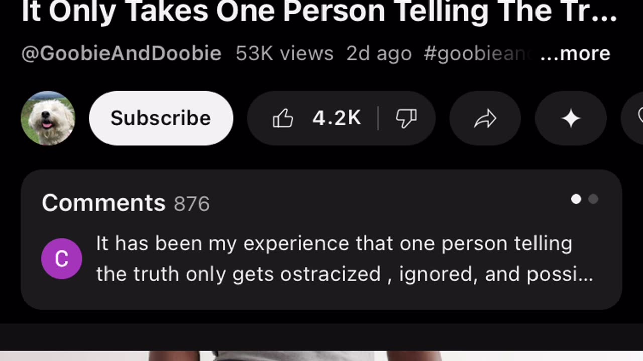 Does he get an a for effort?