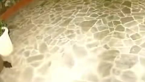 😱👻 What is That Thing? A Terrifying Glimpse in the Dark | TheHauntingHour