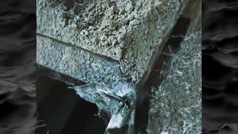 😱👻 The Scariest Paranormal Videos You'll Ever See! | TheHauntingHour