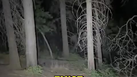 😨🤡 Possessed Figure's Terrifying Rampage! This Will Shock You | TheHauntingHour