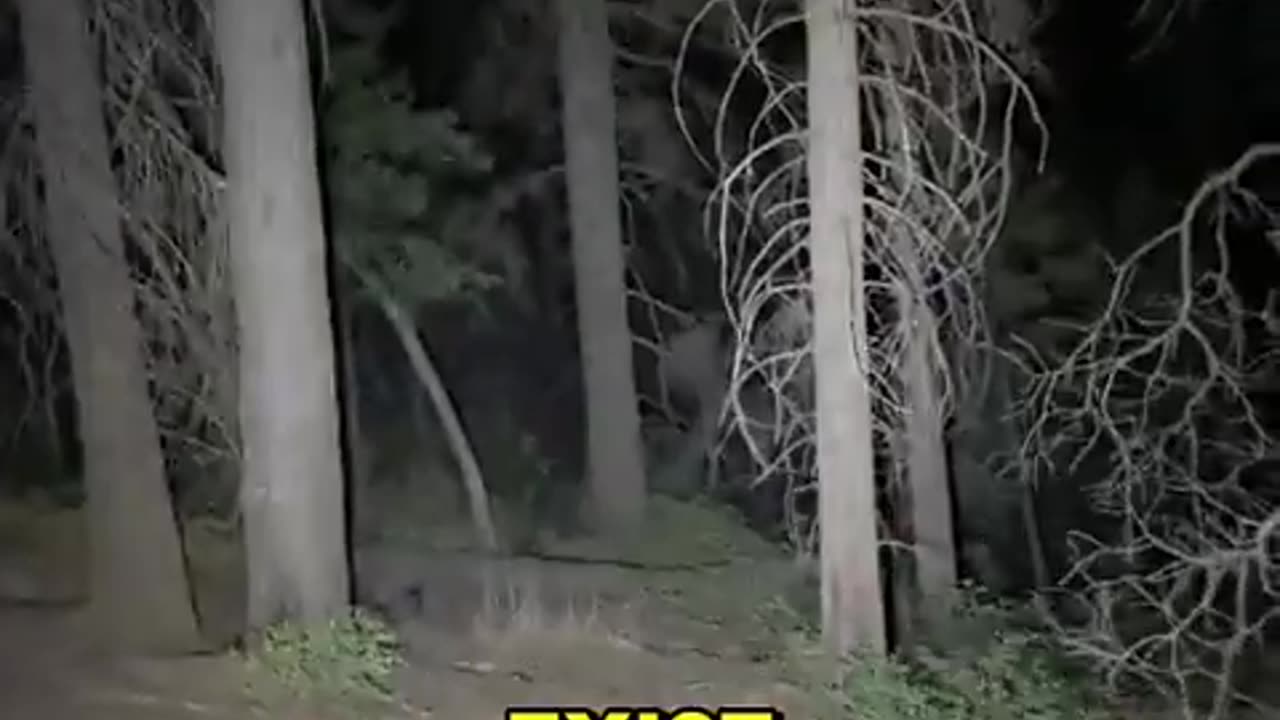 😨🤡 Possessed Figure's Terrifying Rampage! This Will Shock You | TheHauntingHour