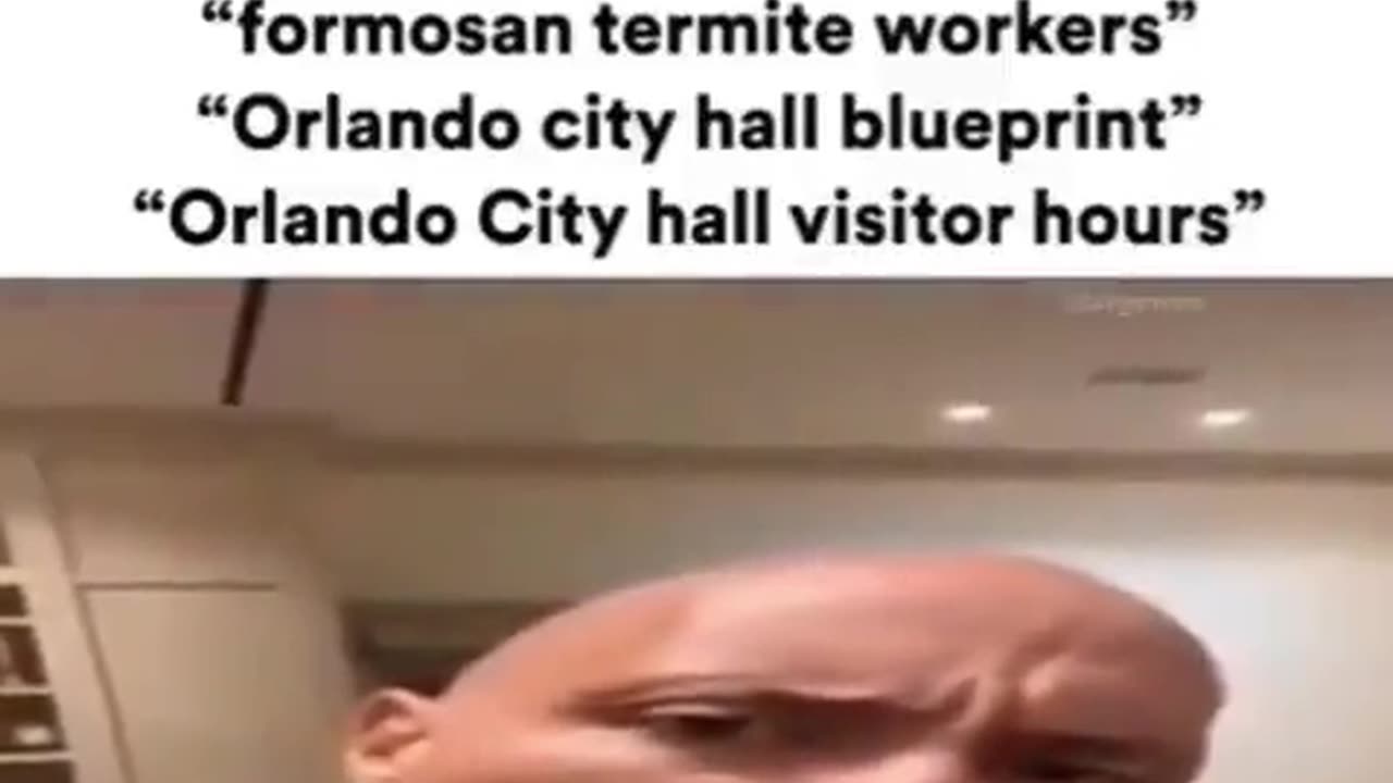 memes scavenged from the corners of the internet part 260