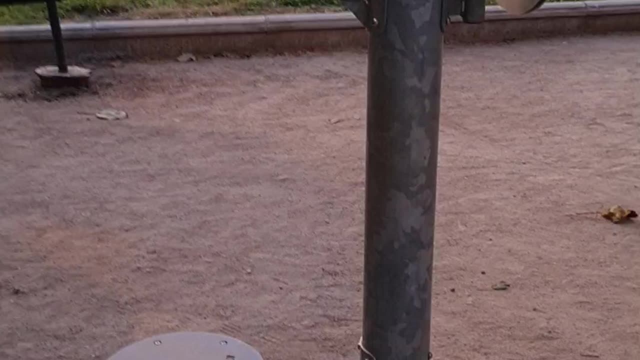 Public Exercise Equipment in Bicentennial Park 🏋️‍♂️🇨🇱