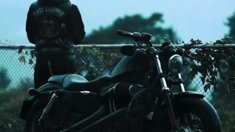 Harley Davidson "Bike Aesthetics"