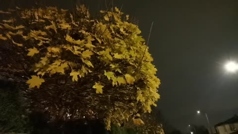 lubię listopadowe ciemne popołudnia ...