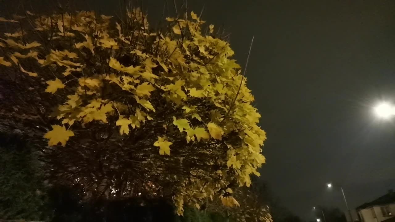 lubię listopadowe ciemne popołudnia ...