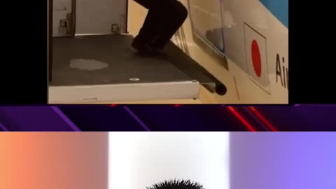 Stupidest Moment In Airport History 😮🤦‍♂️🛫