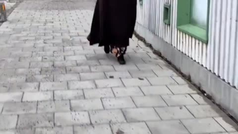 Stockholm 2025. Sweden as we knew it no longer exists.