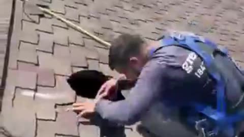 Solar Attic Fan