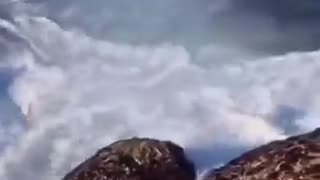 😂🌊 This Ocean Swim Fail Will Make You Laugh Out Loud! | FunFM