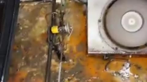 THEY LEFT THE PRODUCE TRAY OPEN - AND WHAT’S UNDER IT IS STRAIGHT-UP BIOHAZARD MATERIAL