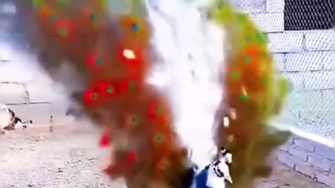🌸 The magic of peacock colors