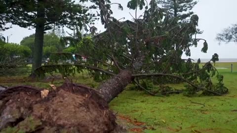 Storm Alfred: Fallout from vicious tropical storm “far from over,” Australian PM warns