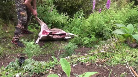 Fly camp trip for sika deer