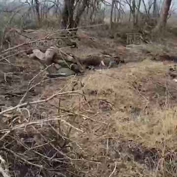 Ukraine war combat footage 2/20/25