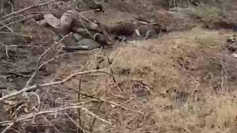 Ukraine war combat footage 2/20/25