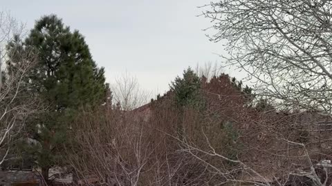 Very nice day outside (1/1/2026)